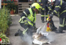 Oö: Friteusen-Brand in Eberstalzell mit Löschdecke eingedämmt