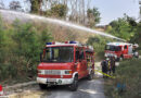 Bgld: Waldbrand im Leithagebirge in Kleinhöflein