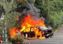 D: Autobrand in Mülheim an der Ruhr setzt auch Hecke in Brand