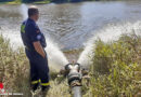 D: Fische “schnappen nach Luft” → Feuerwehr und THW retten das Leben von hunderten Fischen