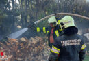 Nö: Beim Grillen stand die Hecke in Steinabrückl blitzschnell in Flammen