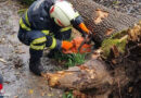 Oö: Baum blockierte Straße und Gleis in Reichraming