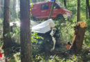 Bgld: Baum bei Pkw-Kollision in Riedlingsdorf gefällt, Fahrer schwer verletzt