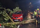 Oö: Baum stürzt direkt vor fahrendes Auto einer jungen Familie