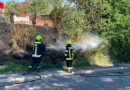 Bgld: Mitglied der Feuerwehrjugend entdeckt Flurbrand und alarmiert die aktiven Kameraden
