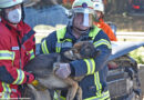 D: Sechs Fahrzeuge auf A 7 nahe Rastplatz Schaapskaben verwickelt: eine Eingeklemmte, sechs weitere Verletzte, ein toter Hund