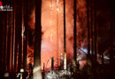 D: Wald am Möhnesee brennt bis in die Gipfel → 250 Einsatzkräfte aus dem Kreis Soest im Einsatz