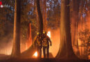 Neue Feuerwehr-Serie: „Fire Country“ startet im Oktober 2022