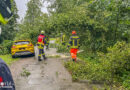 D: Feuerwehren in Flotwedel beseitigen mit Lkw-Rettungsplattform-Unterstützung umgestürzten Baum von Pkw