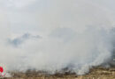 Stmk: Brand eines abgedroschenen Feldes in Bad Waltersdorf