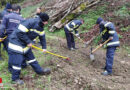 Nö: Feuerwehren im Bezirk St. Pölten bereiten sich auf Waldbrandeinsätze vor