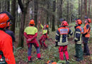 Bayern: „Achtung – Baum fällt“ → 21 Einsatzkräfte aus dem Kreis Traunstein absolvieren Motorsägen-Grundkurs