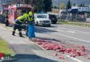 Ktn: Feuerwehr Villach beim Fleischteile einsammeln auf der Straße