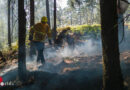 Deutschland wird Waldbrandland → Resümee der Feuersaison 2022 → braucht man Löschflugzeuge?