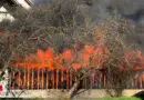 Oö: Vollbrand eines Wirtschaftsgebäudes in Aschach an der Donau