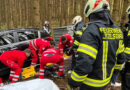 Bgld: Erfolgreiche Suche nach Einsatzort und Personenrettung nach Forstunfall in Litzelsdorf