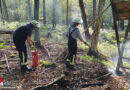 D: Brennender Torf im Wald in Schermbeck