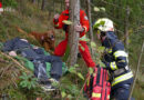 Oö: FF Roitham übt Suchaktion mit Rettungshundebrigade in der steilen Traunböschung