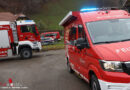 Oö: Verletzter bei Forstunfall in Micheldorf → Beine von Baum getroffen