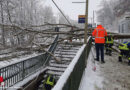 Bayern: Baum kippt auf Bahnsteig und reißt Stromleitung herunter → Wartende erleiden Stromschläge