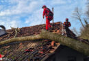 Oö: Esche stürzt in Steyregg auf Wohnhaus und Stromleitung