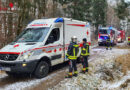 Nö: Personenrettung nach Forstunfall im Waldgebiet in Melk