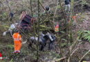 Schweiz: Mann (70) und zwei Pferde bei Absturz mit Kutsche in Mettauertal verletzt