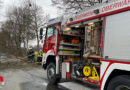 Bgld: Feuerwehr Oberwart entfernt über Fahrbahn gestürzten Baum