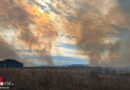 USA: Kleinflugzeugabsturz bei Suffolk fordert zwei Menschenleben und verursacht großen Flächenbrand