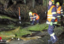 Oö: Sturmtief “Pit” sorgt für mehrere Einsätze der Feuerwehren