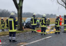 D: Eine Schwerverletzte bei Caddy-Kollision mit Baum auf der Kreisstraße 131 bei Bomlitz