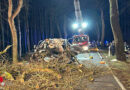 D: Motorblockverlust bei schwerer Kollision eines Transporters mit Baum → ein Toter bei Dannenberg