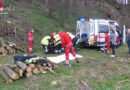 Nö: Verletzter bei Forstunfall in Großweikersdorf