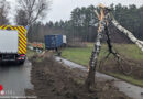 D: Lastwagen mit Überseecontainer kappt bei Hanstedt zwei Birken und schießt Baum 35 m ins Feld