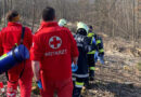 Bgld: Einsatz nach Forstunfall im Gelände in Wiesen