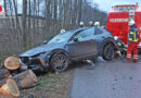 Oö: Sturmtief → umgestürzter Baum löst bei Keamten am Innbach Unfall mit drei beteiligten Pkw aus