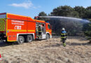 Bayern: Mehrere alte Bäume bei Flächenbrand in München in Mitleidenschaft gezogen