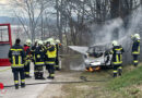 Nö: Lenkerin prallt mit Pkw in Ternitz gegen Baum → Auto brennt, eine Tote