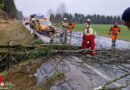 Tirol: Umgestürzter Baum blockierte Fahrbahn der B 178 (Loferer Bundesstraße) 