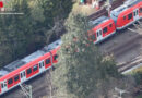 Bayern: Baum stürzt in München auf S-Bahn → Zug evakuiert