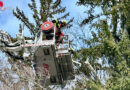 Oö: Feuerwehren Tiefgraben und Mondsee gemeinsam im Sturmeinsatz (11.3.2023)