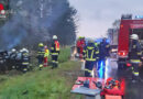 Bgld: Eingeklemmter nach Pkw-Kollision mit Baum neben der B 56 in Güssing