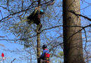 D: Gleitschirmflieger hängt in Olpe in rund 12 m Höhe im Baum fest