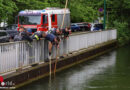 Oö: Einsatzkräfte der Feuerwehr erneut “zum Fischen” an den Mühlbach in Wels-Innenstadt ausgerückt