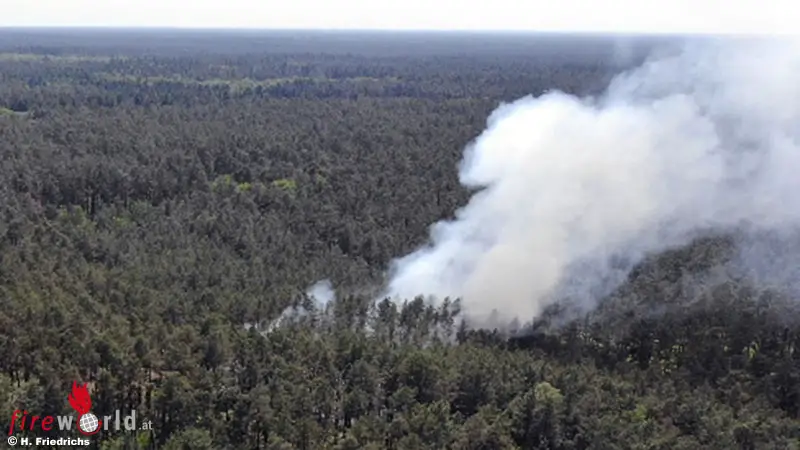 D-Erster-Waldbrand-2023-besch-ftigt-ber-120-Einsatzkr-fte-in-der-Region-Gartow