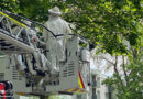 D: Feuerwehr Dortmund bei aktivem Bienenschwarm im Einsatz