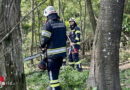 Bgld: Baum mit Säge und Greifzug in Schräglage versetzt → Katze gerettet