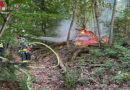 D: Feuer im Waldgebiet von Stuttgart rasch bekämpft