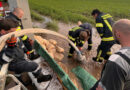 Nö: Wieder schwere Unwetter in Wullersdorf am 9. Juni 2023 → 700 Sandsäcke gefüllt