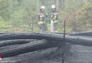 D: Feuer an mehreren Stellen bei Waldbrand in Kirchtimke